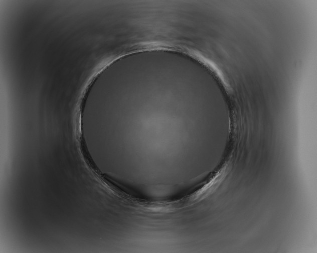 X0000093531365200710121551