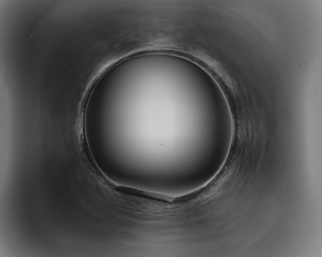 X0000093531366200710121551
