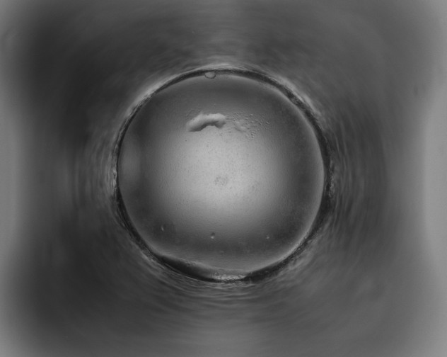 X0000093531367200710121551
