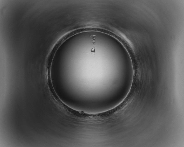 X0000093531368200710121551