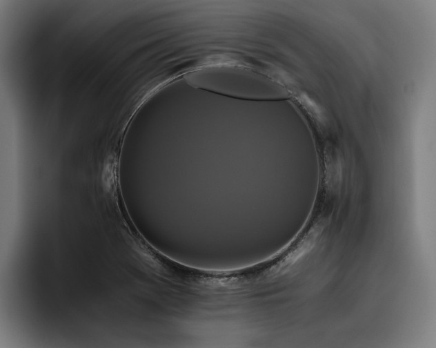 X0000093531369200710121551