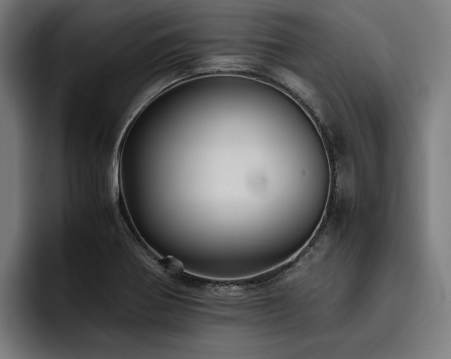 X0000093531370200710121551