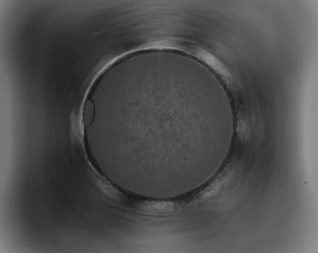 X0000093531372200710121551