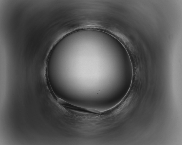 X0000093531374200710121551