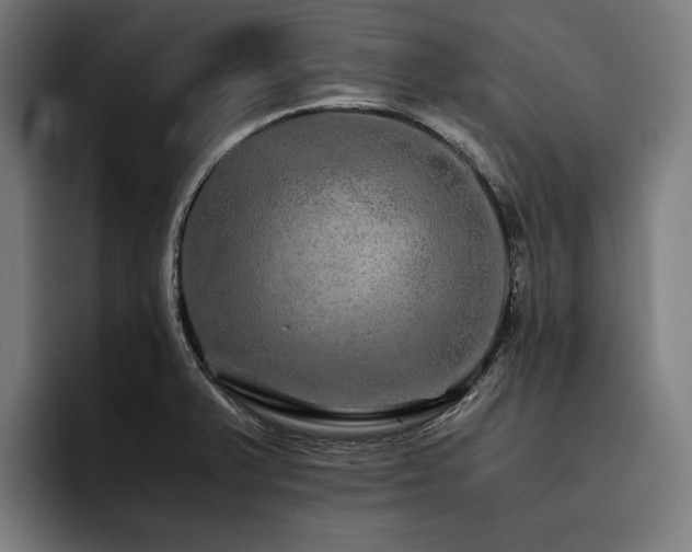 X0000093531375200710121551