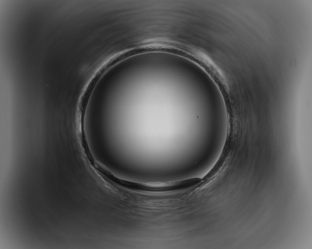 X0000093531376200710121551