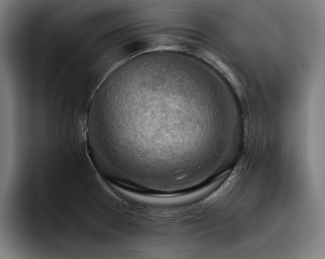 X0000093531377200710121551