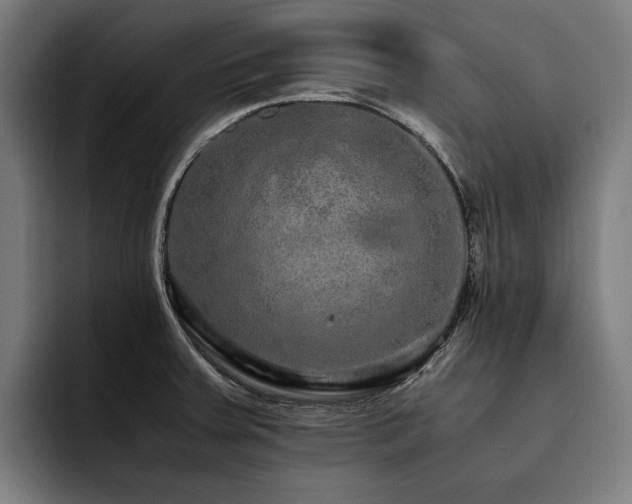 X0000093531379200710121551