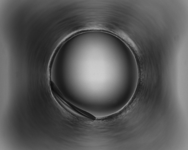 X0000093531380200710121551