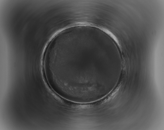 X0000093531381200710121551