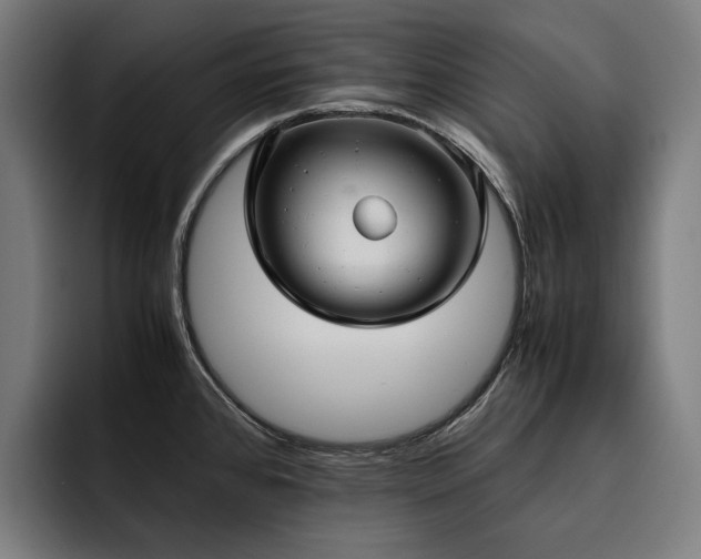 X0000093531384200710121551