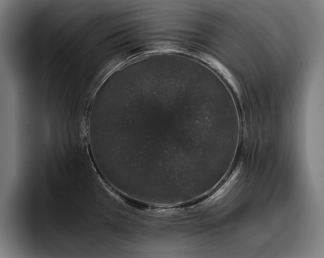 X0000093531385200710121551