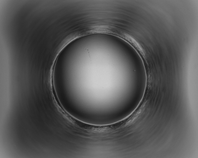 X0000093531386200710121551