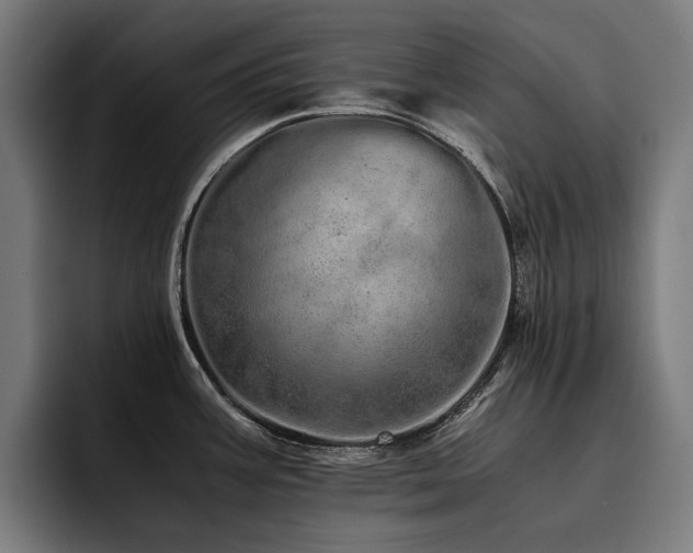 X0000093531387200710121551