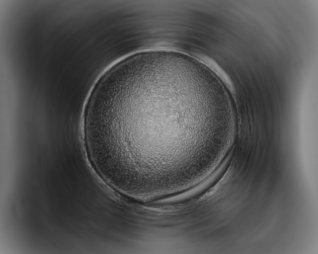 X0000093531388200710121551