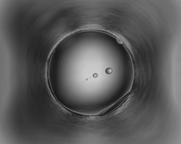 X0000093531390200710121551
