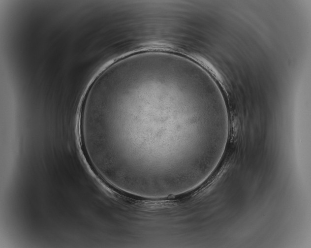 X0000093531391200710121551