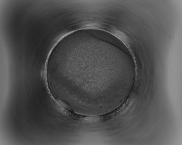 X0000093531392200710121551