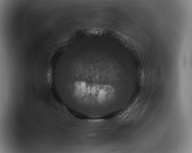 X0000093531394200710121551