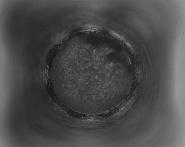 X0000093531399200710121551