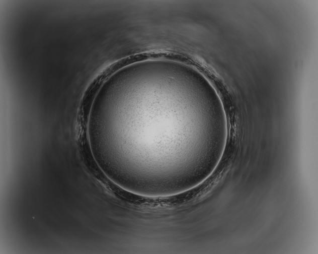 X0000093531400200710121551