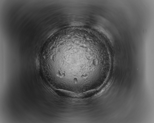 X0000093531401200710121551