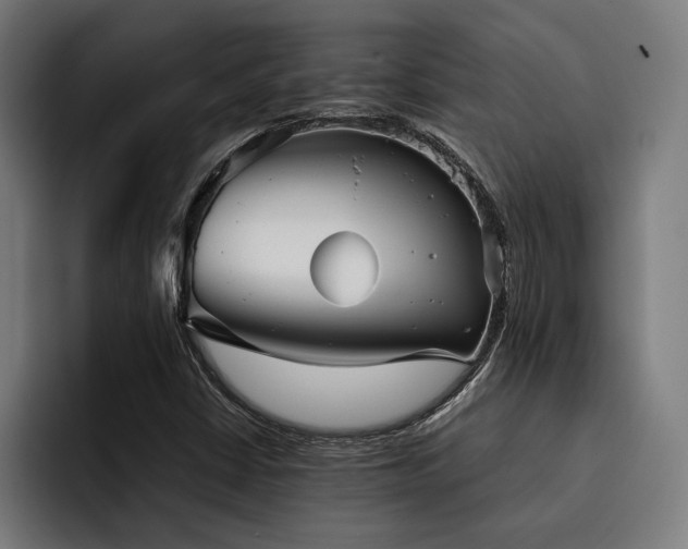X0000093531402200710121551