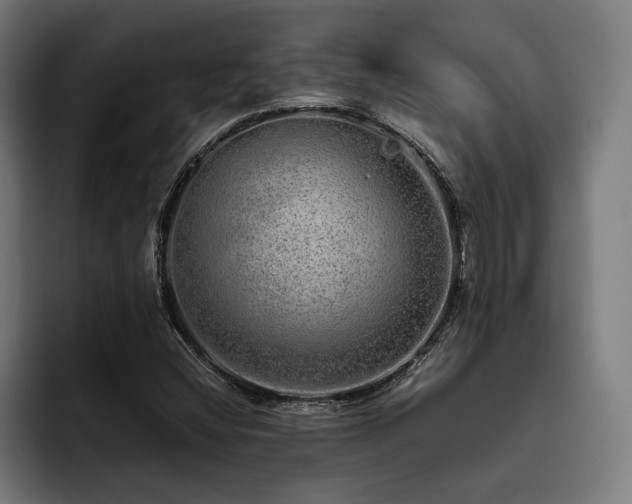 X0000093531404200710121551