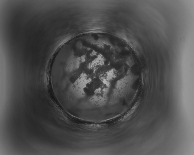 X0000093531405200710121551