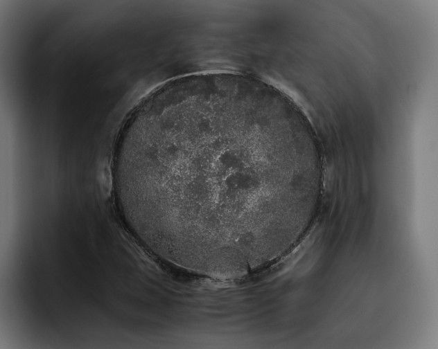 X0000093531407200710121551