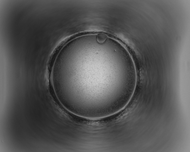 X0000093531408200710121551