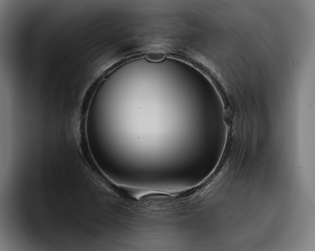 X0000093531410200710121551