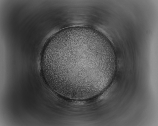 X0000093531411200710121551