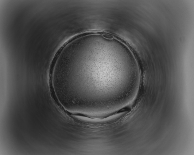 X0000093531412200710121551