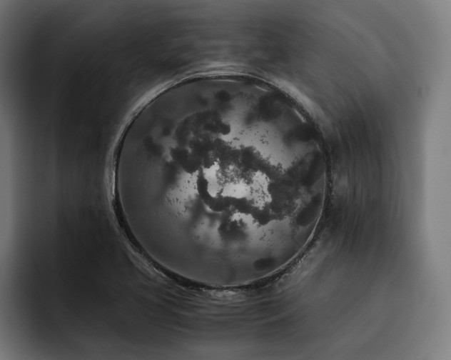 X0000093531413200710121551