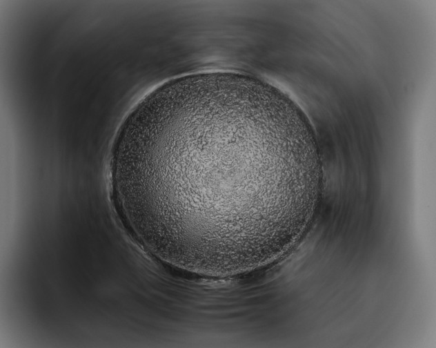 X0000093531415200710121551