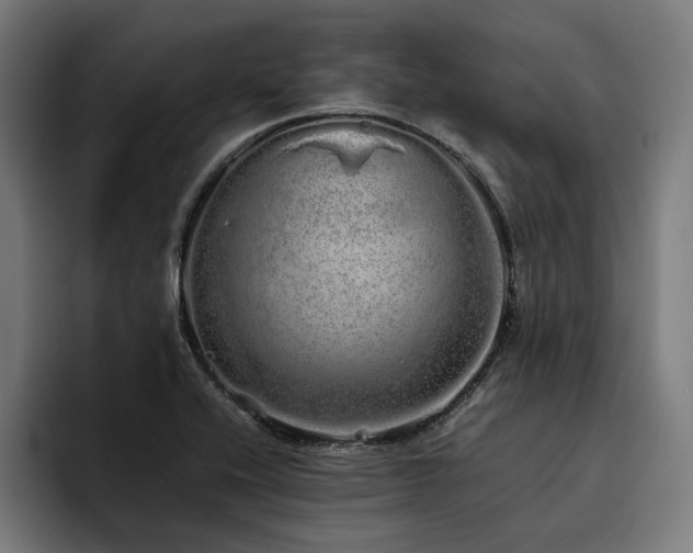 X0000093531416200710121551