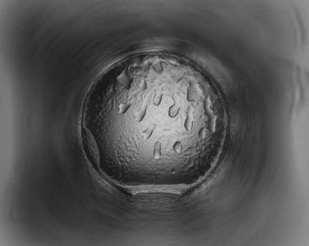 X0000093531417200710121551