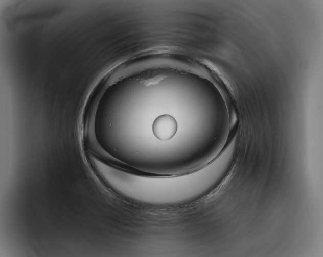 X0000093531418200710121551