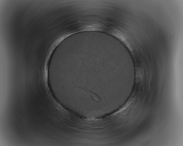 X0000093531419200710121551