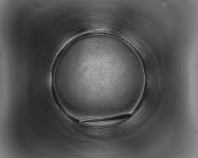 X0000093531420200710121551