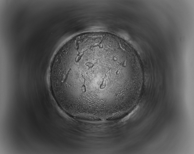 X0000093531421200710121551