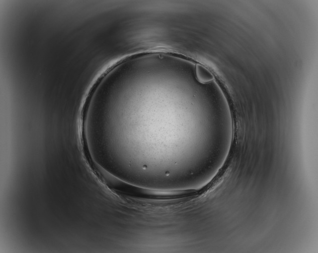 X0000093531424200710121551