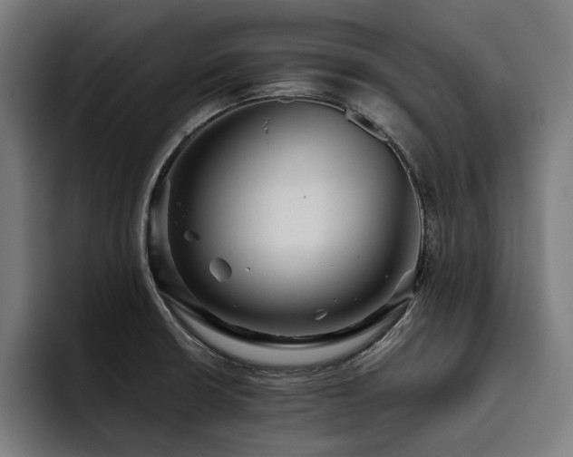 X0000093531426200710121551