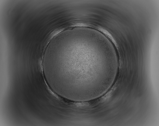 X0000093531433200710121551
