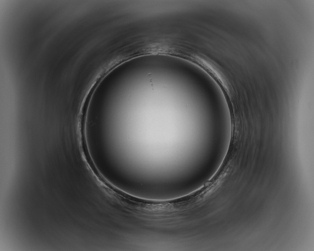 X0000093531434200710121551