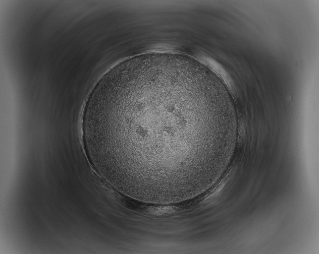 X0000093531435200710121551