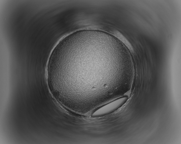 X0000093531436200710121551