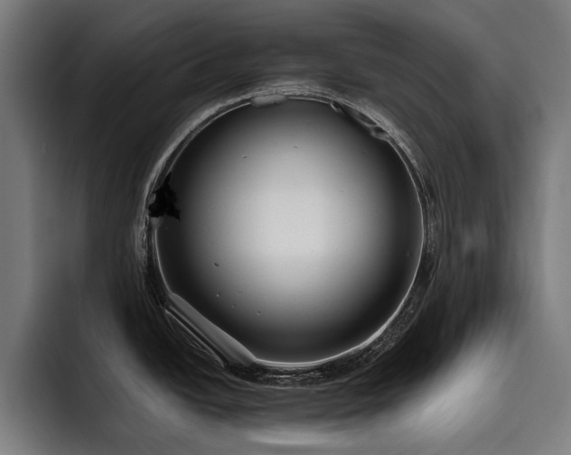 X0000093531438200710121551