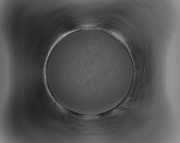 X0000093531440200710121551